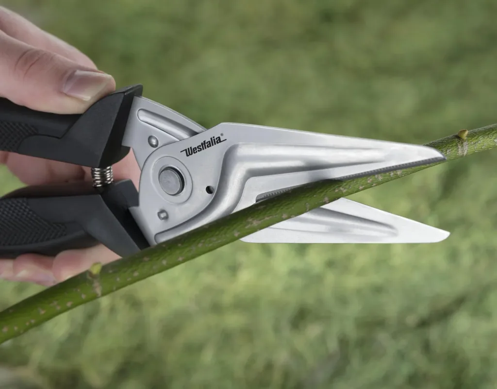 All-purpose scissors-Titan