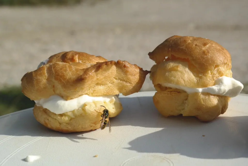 Wasp nest decoy set of 2