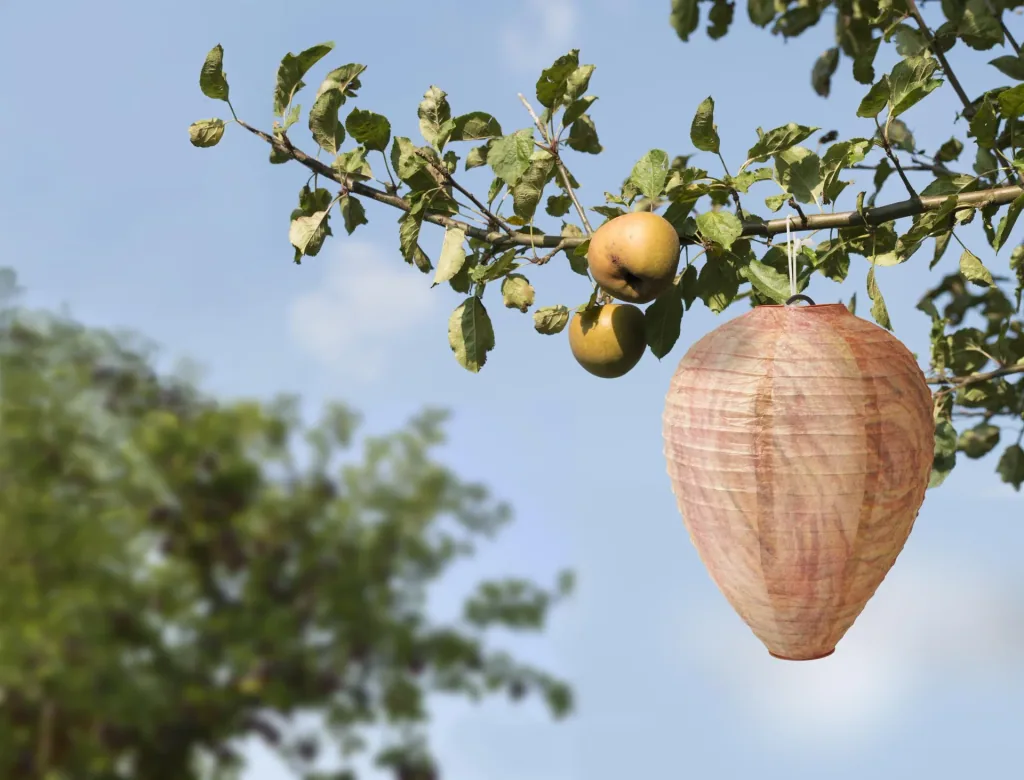 Wasp nest decoy set of 2