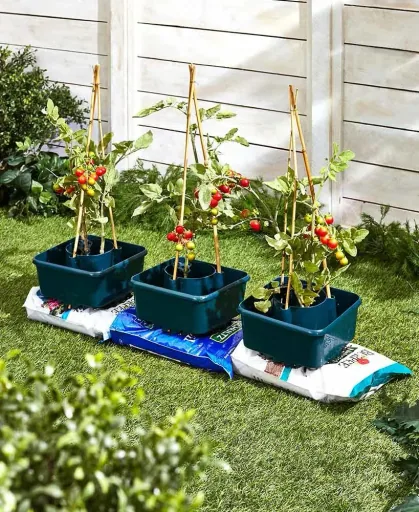 Planter with water reservoir