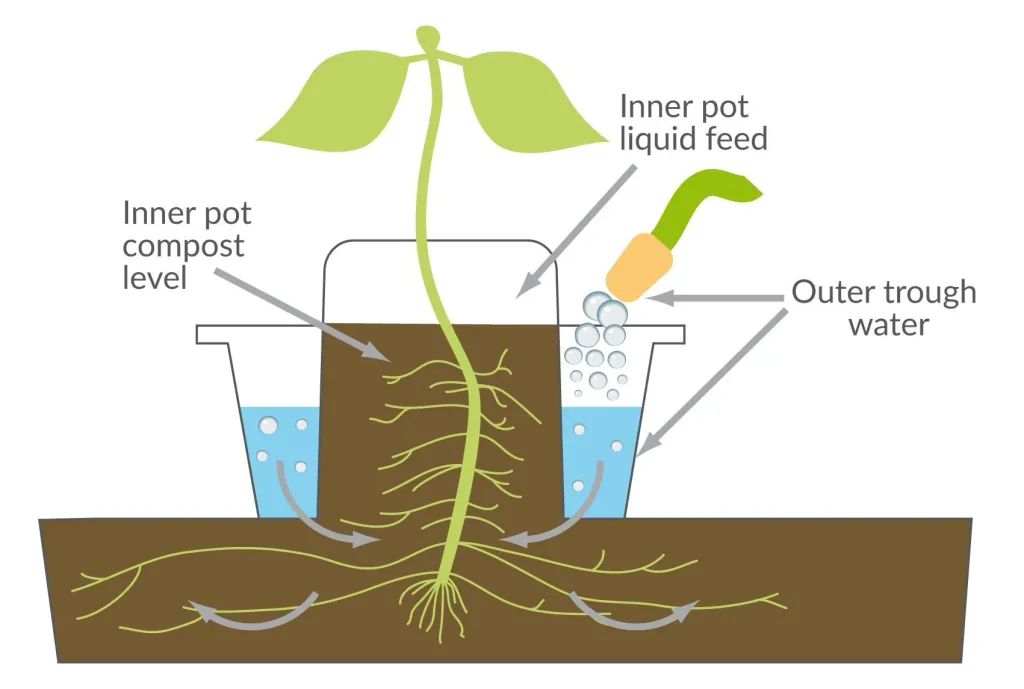 Planter with water reservoir