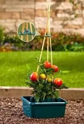 Planter with water reservoir
