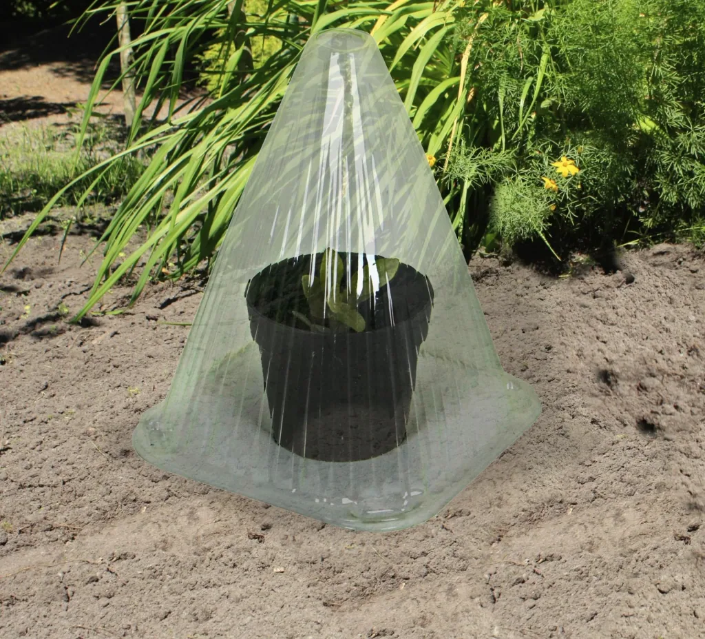 Plant cloches for seedling propagation, 10 pieces