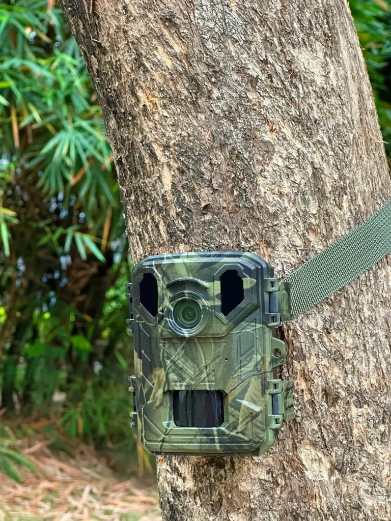 Wildlife camera