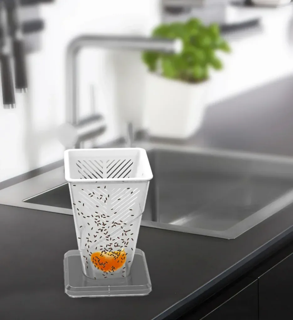 Fruit fly trap - live trap