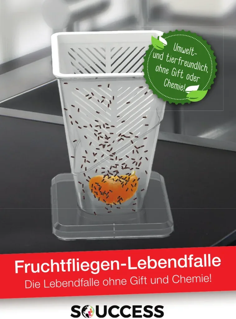 Fruit fly trap - live trap