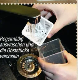 Fruit fly trap - live trap