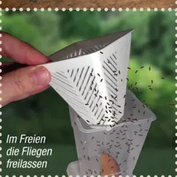 Fruit fly trap - live trap