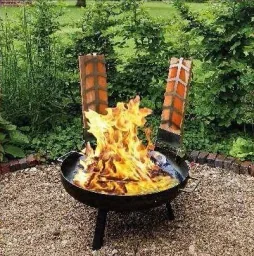 Flame-grilled salmon set, 2 pieces