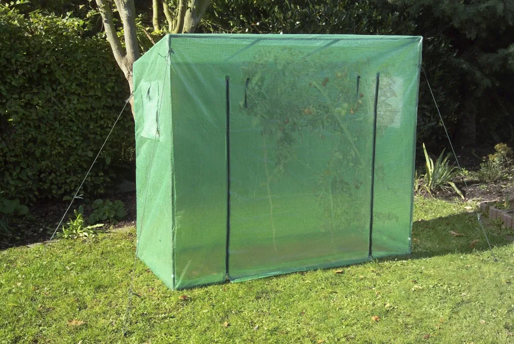 Tomato greenhouse "Large", approx. 200 x 77 x 170 cm, LxWxH