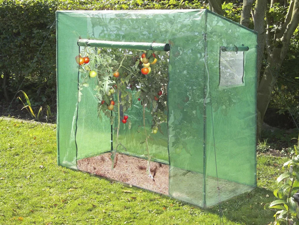 Tomato greenhouse "Large", approx. 200 x 77 x 170 cm, LxWxH