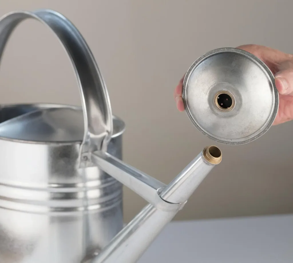 galvanized watering can 10 L