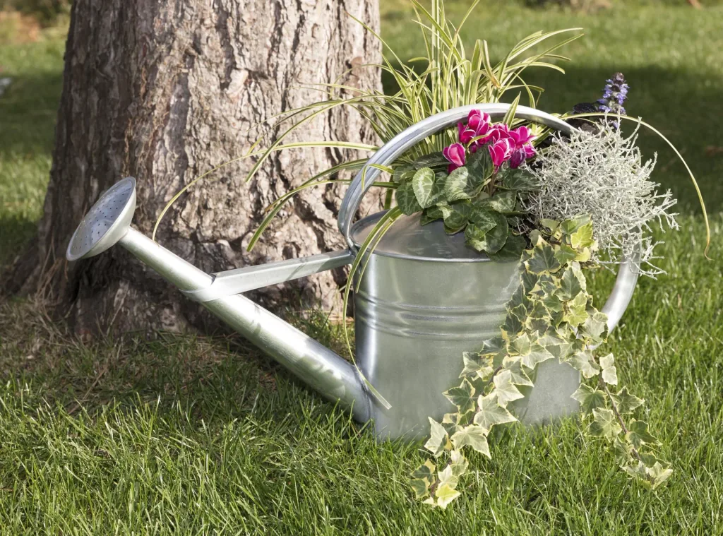 galvanized watering can 10 L