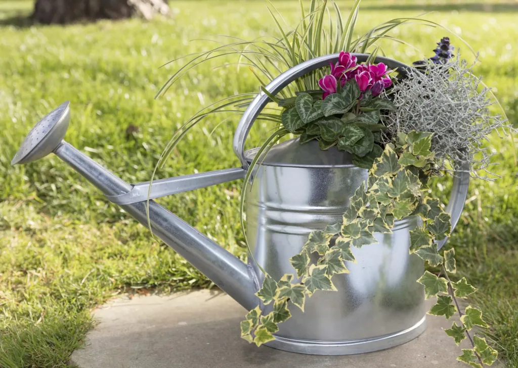 galvanized watering can 10 L