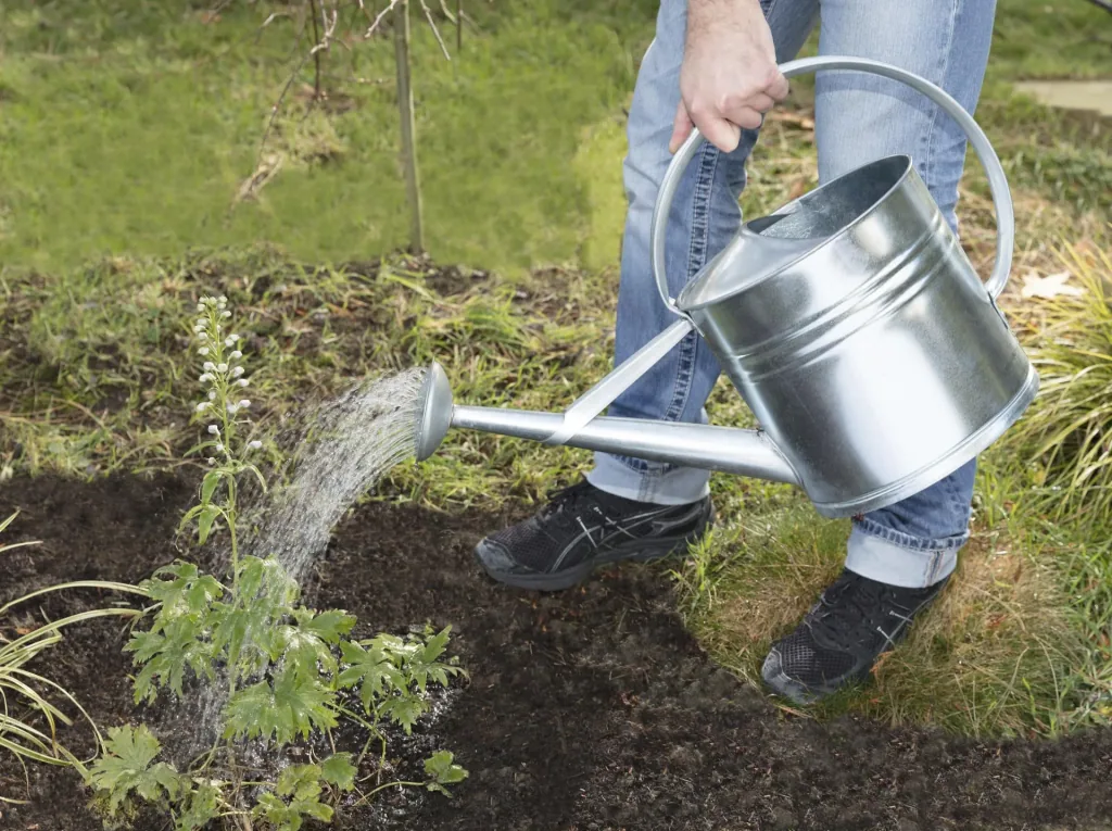 galvanized watering can 10 L