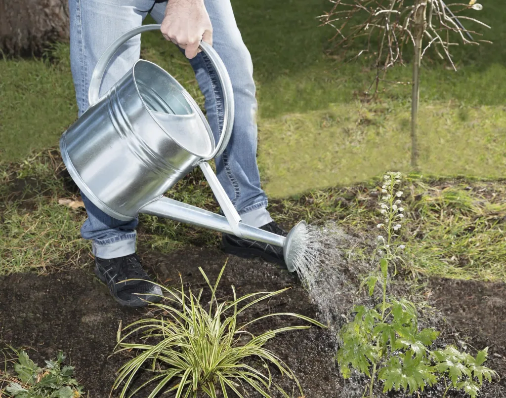 galvanized watering can 10 L