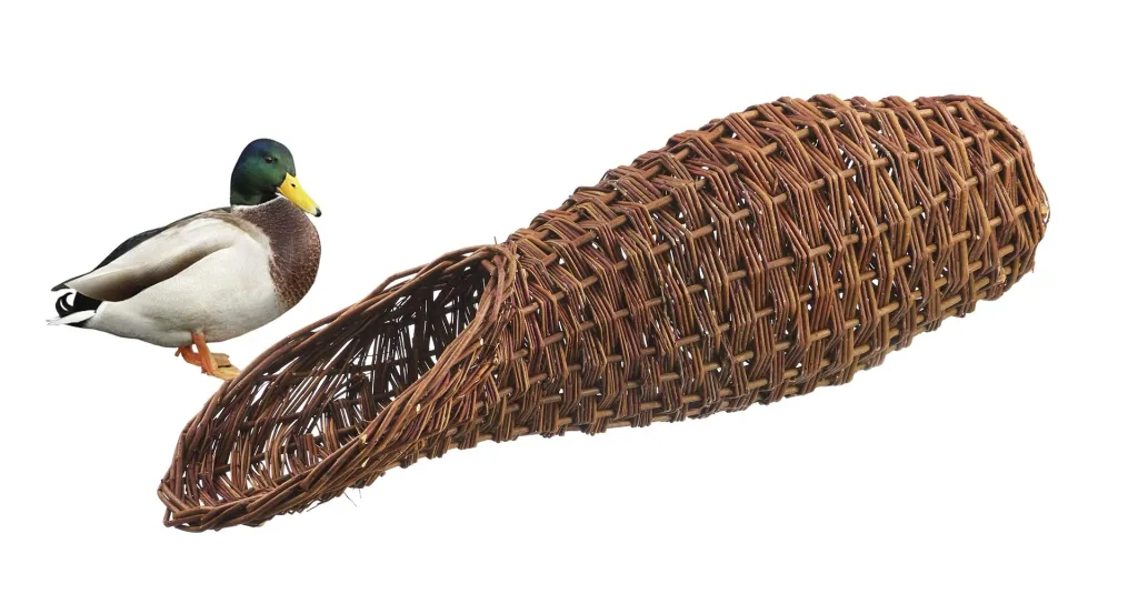Duck nest