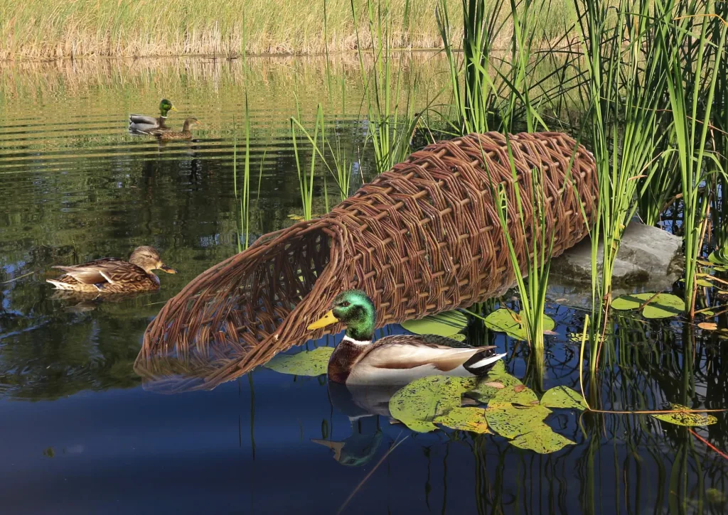 Duck nest