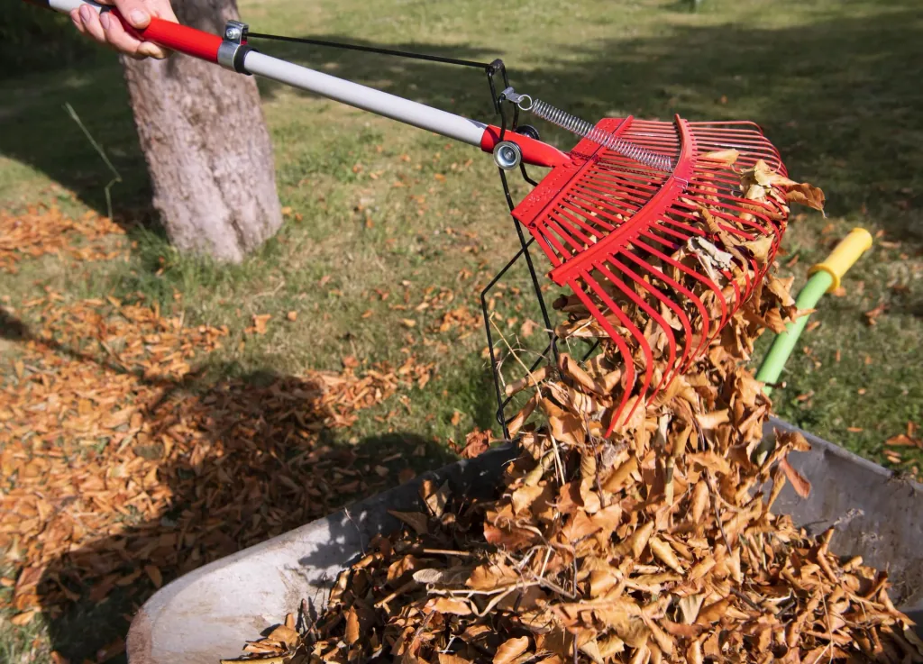 Universal rake with grapple, 25 tines, telescopic