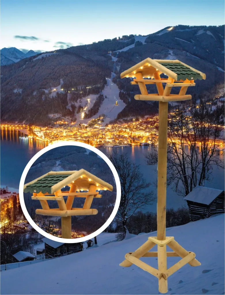Bird feeder with lighting