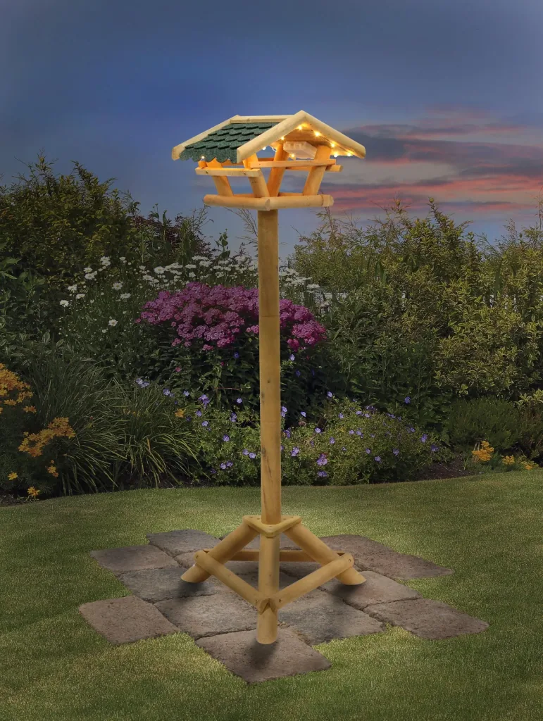 Bird feeder with lighting