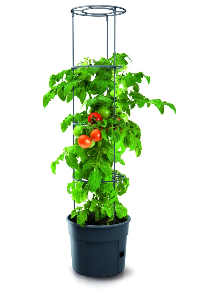 Grow pot for tomatoes "Grow 2", Ø 392 mm, anthracite