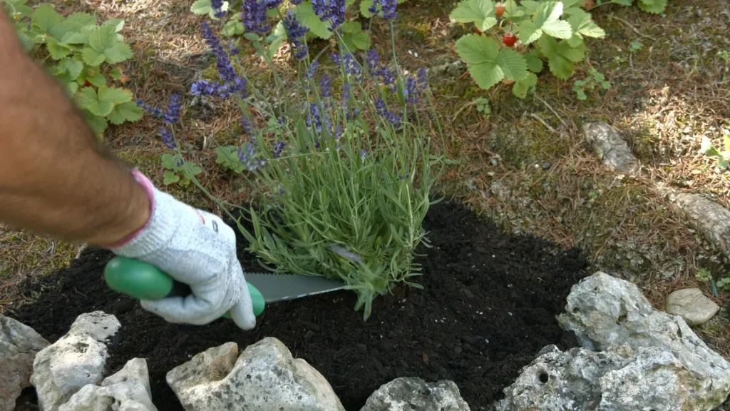 Multipurpose shovel