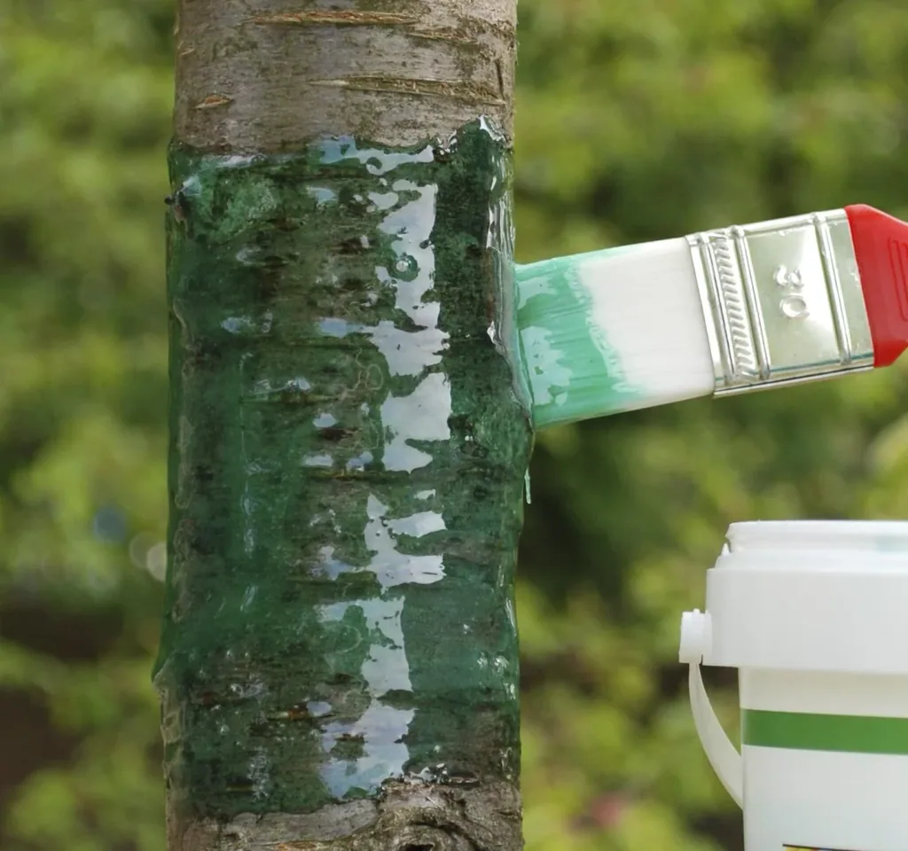 Caterpillar glue against pear, bud weevil, snow moth 500 g