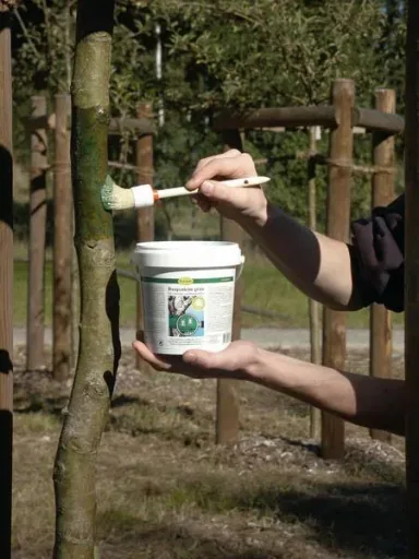Caterpillar glue against pear, bud weevil, snow moth 500 g