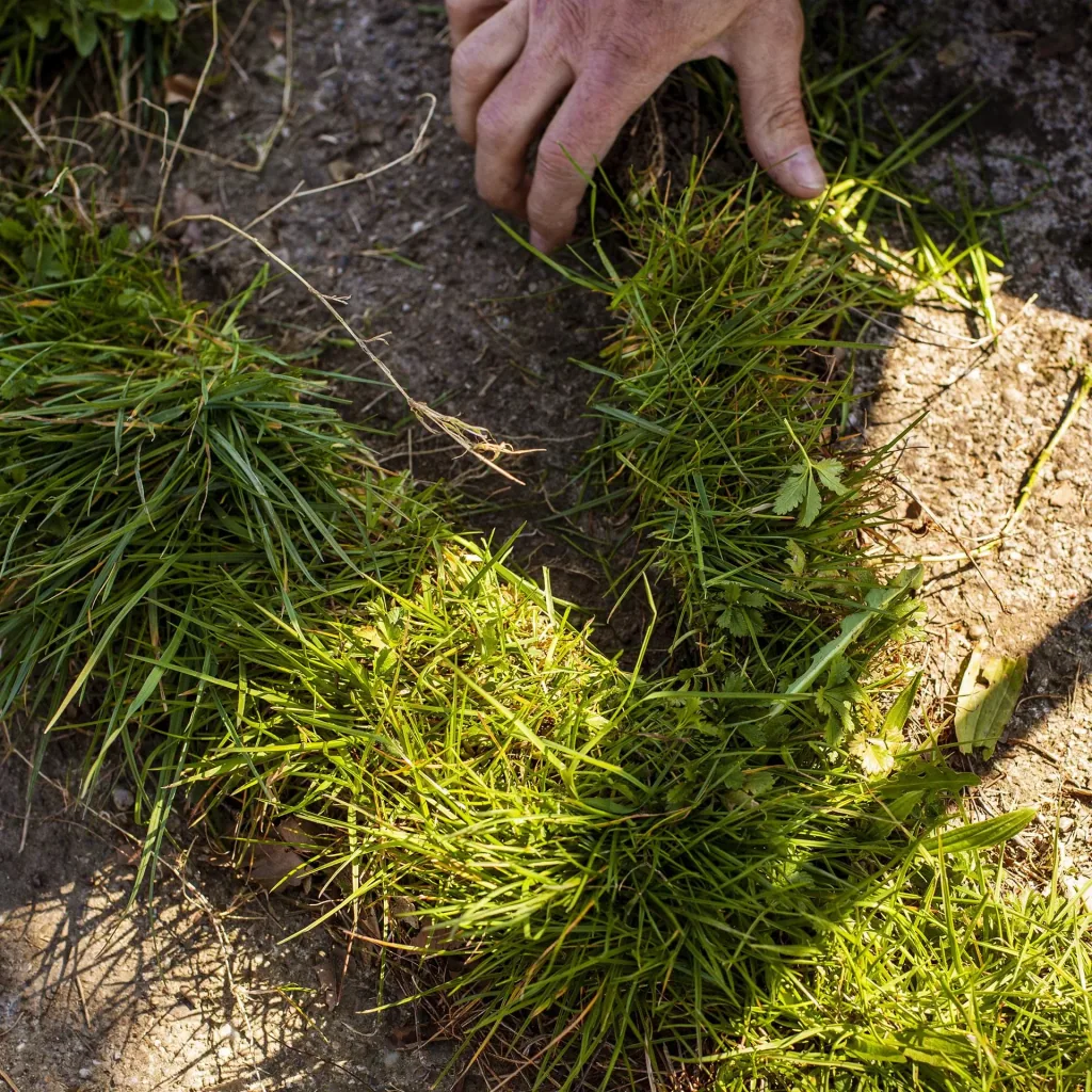 UPP Lawn edge trimmer Easy