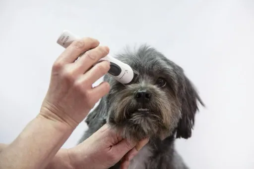 Exacta cordless clipper