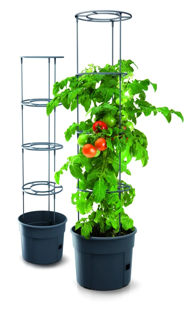 Grow pot for tomatoes "Grow 1", Ø 295 mm, anthracite