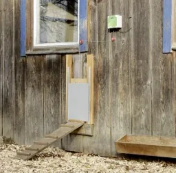 Control for automatic chicken door