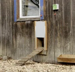 Control for automatic chicken door