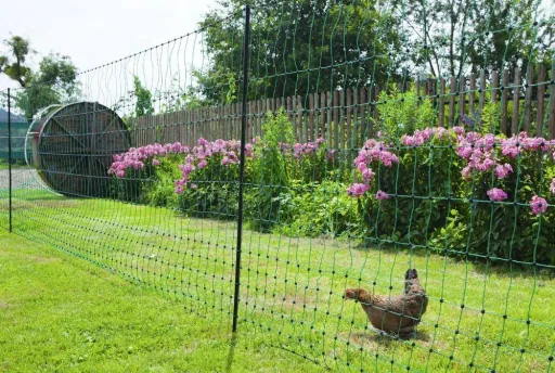 Poultry net 106 cm with double spike, 50 m, non-electrifiable