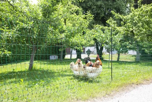 Poultry net 106 cm with double spike, 50 m, non-electrifiable