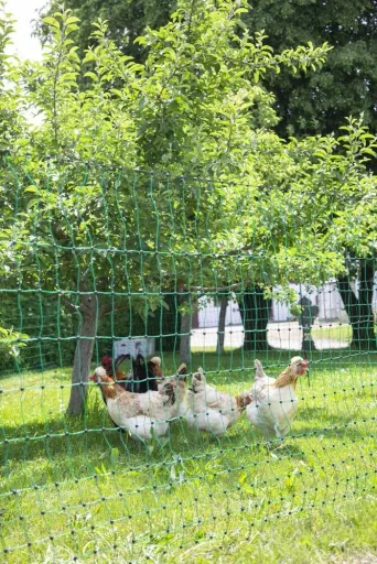 Poultry net 106 cm with double spike, 50 m, non-electrifiable