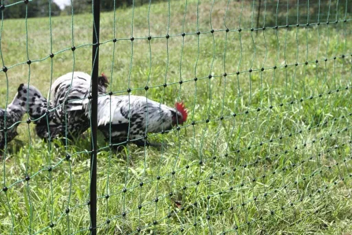 Poultry net 106 cm with double spike, 50 m, non-electrifiable