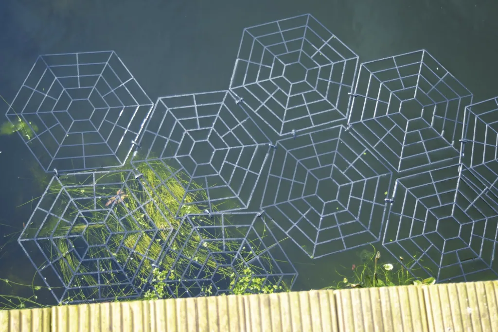 Bird protection pond grid set of 20