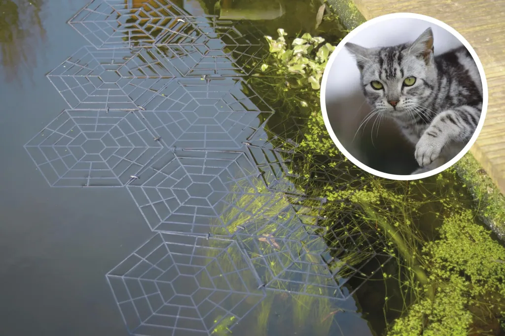 Bird protection pond grid set of 20