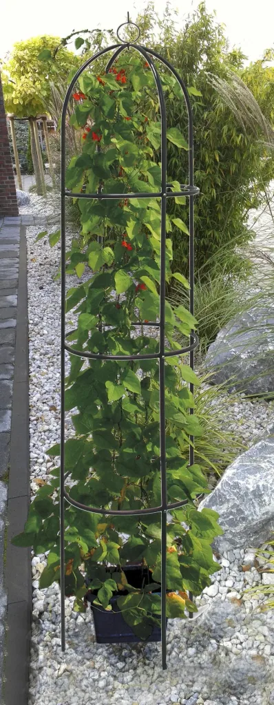 Climbing plant obelisk Ø 40 x 190 cm