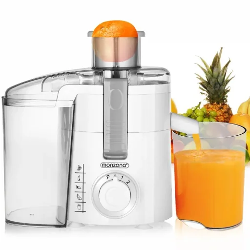 Juicer Plastic