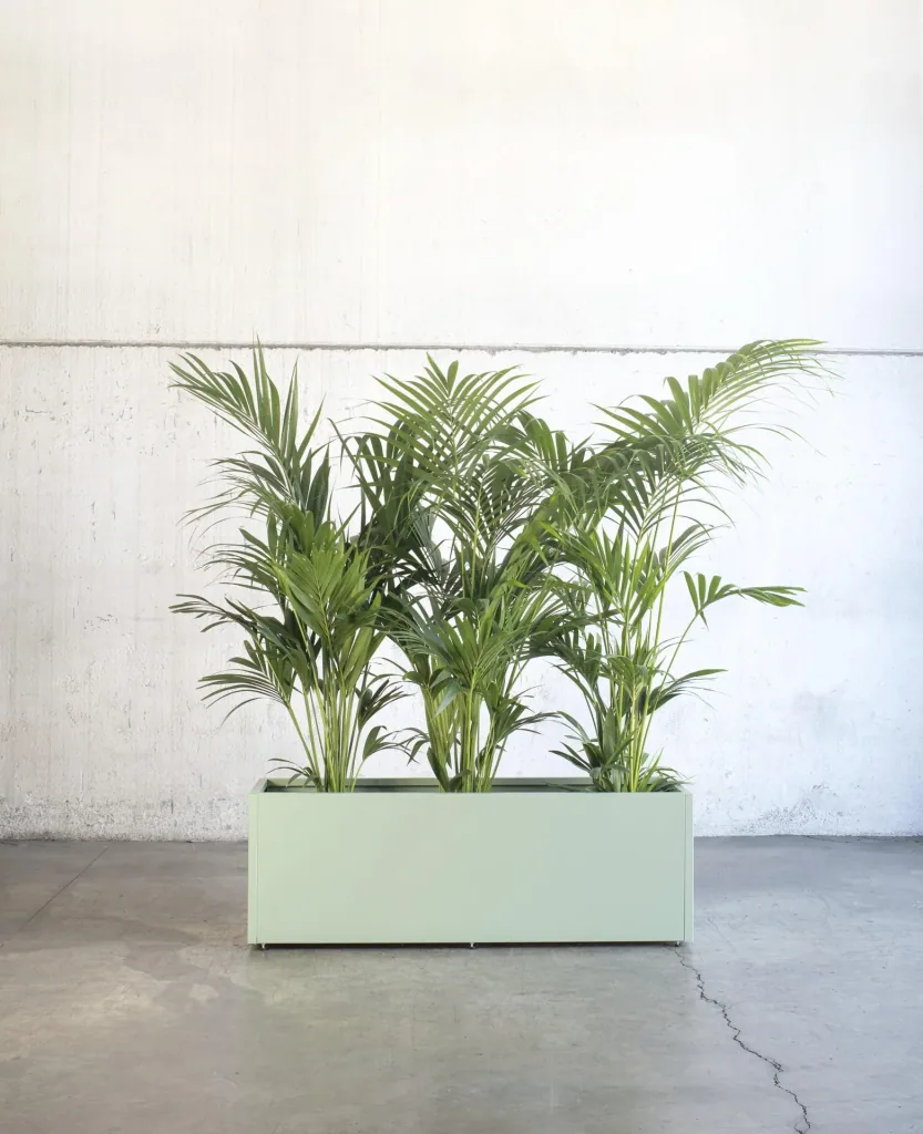 Planter 150 x 50 x 50 cactus green