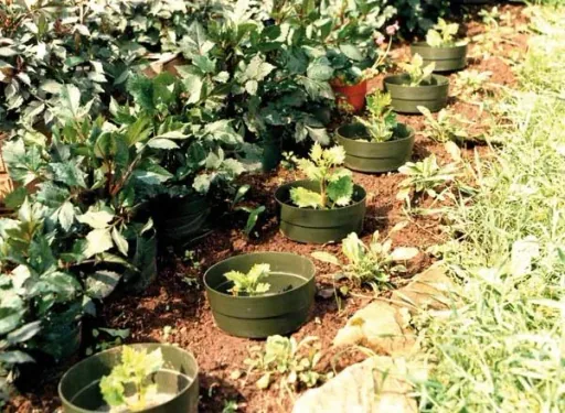 Watering ring "Aquaring", 20 cm, green - set of 15