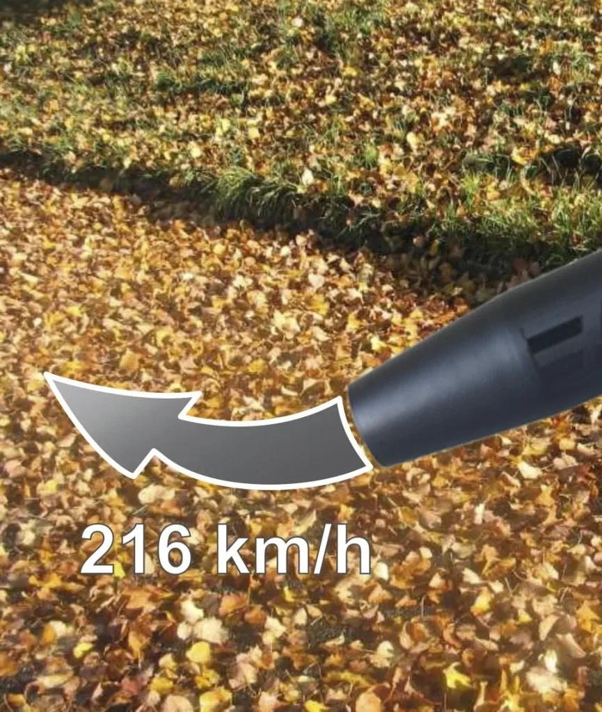 Cordless leaf blower “LBC 40-60”, 36 volts