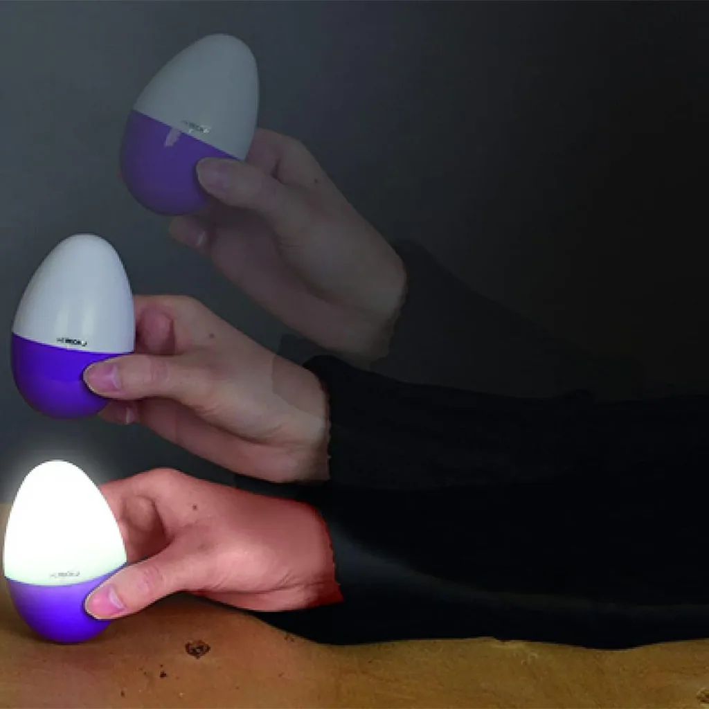 LED Decolicht in Eiform