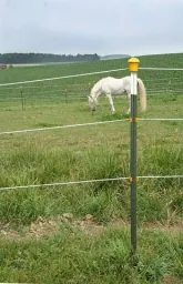 Metal post T-Post, 167 cm, 80 pieces