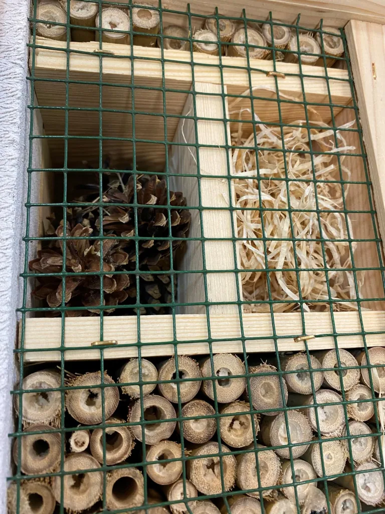 Insect Hotel "Kempten"