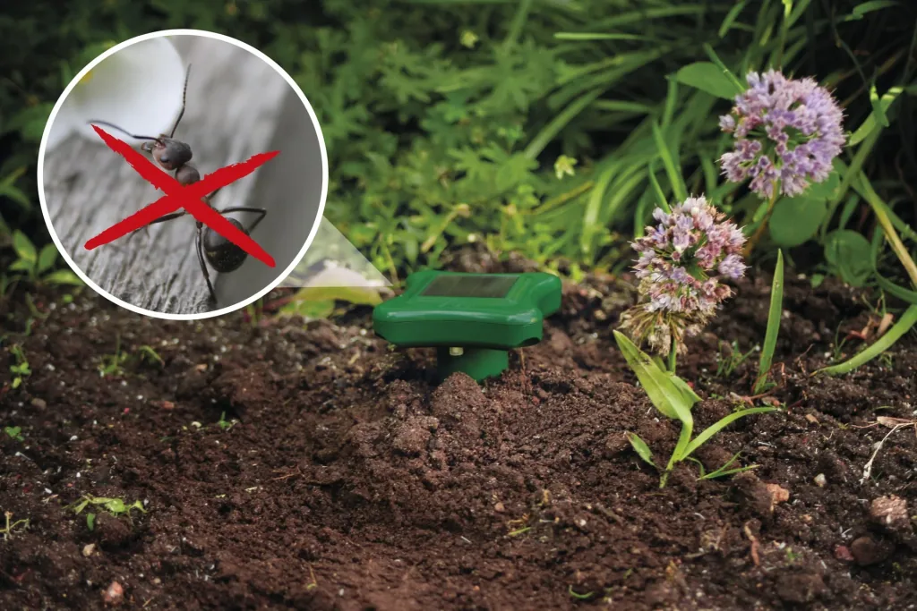 Solar ant repellent