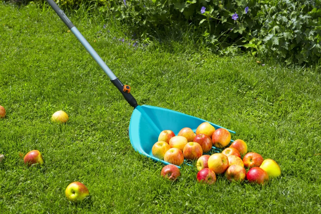 Combisystem shovel rake, working width 36.5 cm
